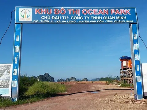 Gần 300 doanh nghiệp ở Quảng Ninh bị bêu tên vì "chây ì" nộp thuế