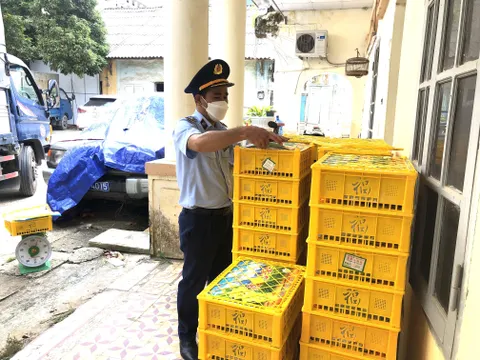 Thu giữ gần 1,7 tấn nho xanh Trung Quốc nhập lậu tại Lạng Sơn