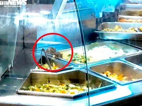 Vụ chuột bò trên quầy thức ăn, Aeon Việt Nam xin lỗi khách hàng