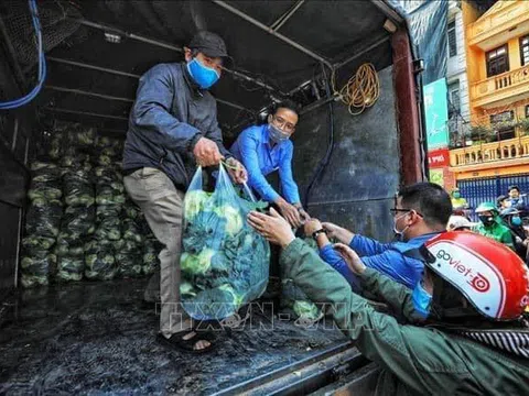 Giúp bà con vùng dịch: Tổng hợp các địa chỉ bán nông sản Hải Dương tại Hà Nội